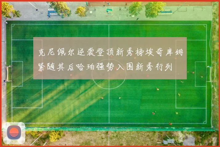 克尼佩尔逆袭登顶新秀榜埃奇库姆紧随其后哈珀强势入围新秀行列